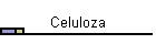 Celuloza